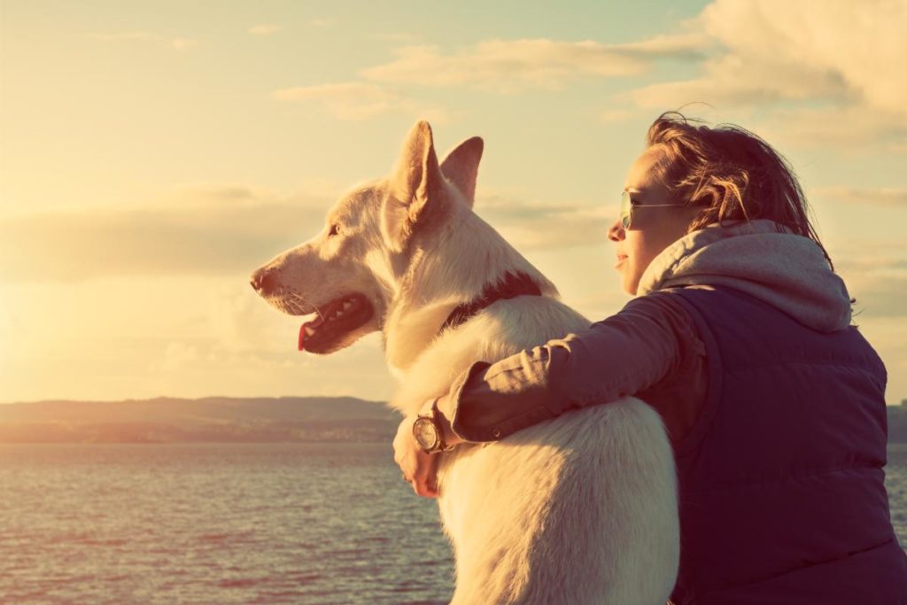 a person hugs a dog while overlooking the ocean
